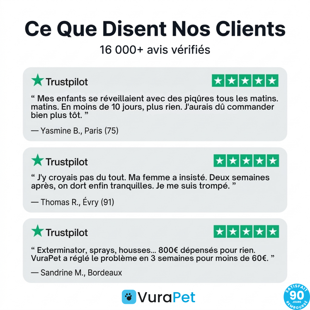 VuraPet™ — Dites Adieu aux Punaises de Lit